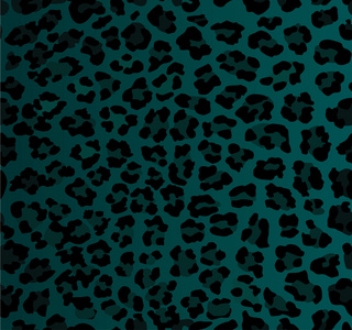 黑色捷豹布无缝豹纹照片