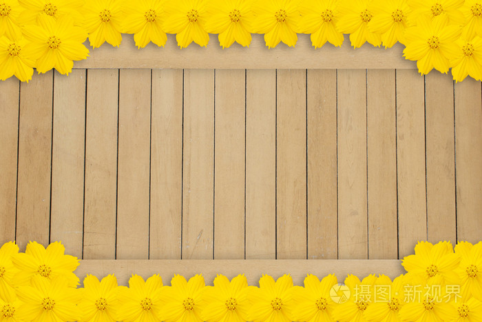 黄色的花朵框架木背景