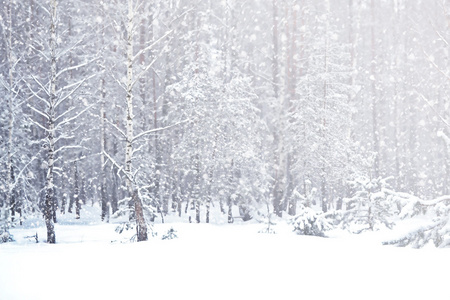 冬天。降雪