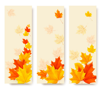 三个秋天横幅五颜六色的树叶。矢量图