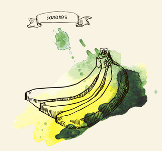 手工绘制的插图的香蕉