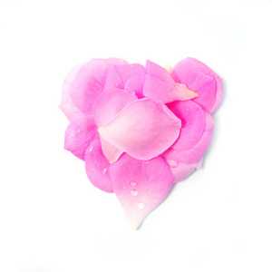 白色上隔绝的美丽粉红玫瑰花瓣