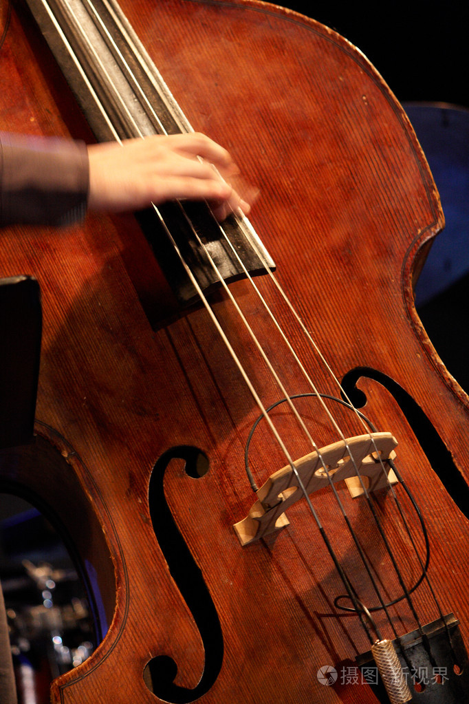 低音提琴