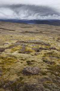 冰岛。latrabjarg 半岛