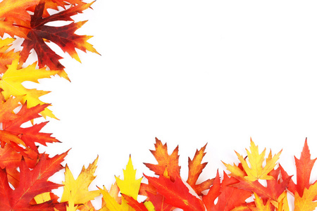 下降彩色的秋天的树叶在白色的背景股票图像