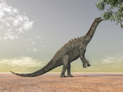 恐龙 ampelosaurus
