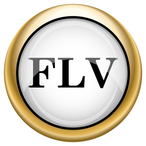 flv 图标