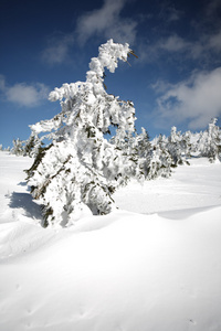 冬天积雪山脉