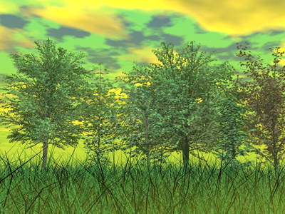 绿色自然3d 渲染