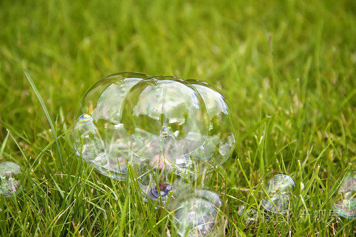 在草地上的肥皂泡沫