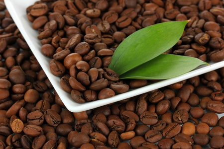 咖啡豆在板特写