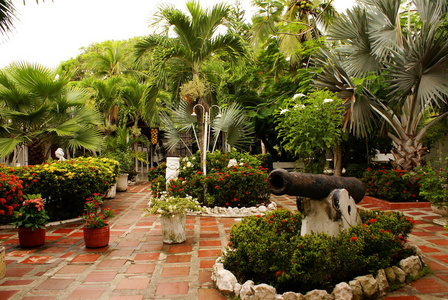 夏季度假村有树木庭院的花园景观托卢科隆比亚
