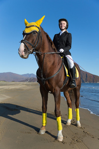 十几岁的女孩坐在海滩上的一匹马