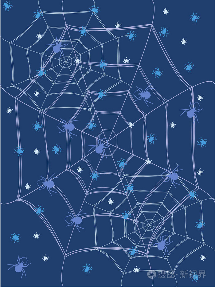 蓝色的背景蜘蛛网和蜘蛛