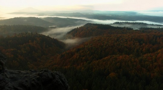 波希米亚萨克森瑞士美丽的山的日出。砂岩峰林和山雾的背景下，从增加雾是由于太阳光的橙色