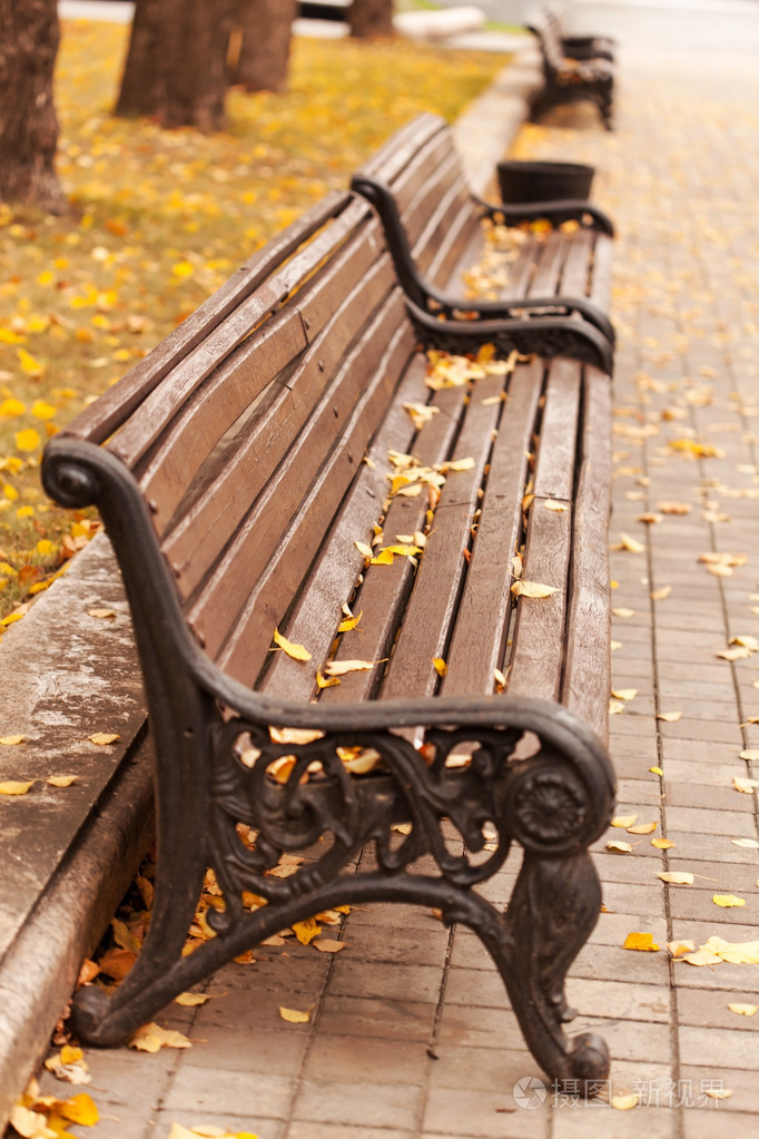 在公园里用树叶张空空的长椅