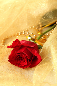 美丽的玫瑰之色织物背景