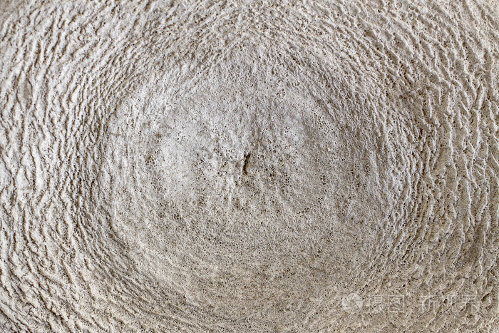 骨纹理照片-正版商用图片1dkfob-摄图新视界