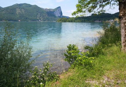 Mondsee Summer Lake奥地利。