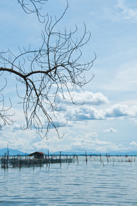 在海洋渔业小屋图片