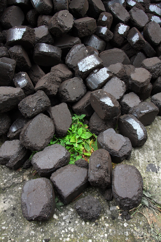 褐煤倾斜的草地上