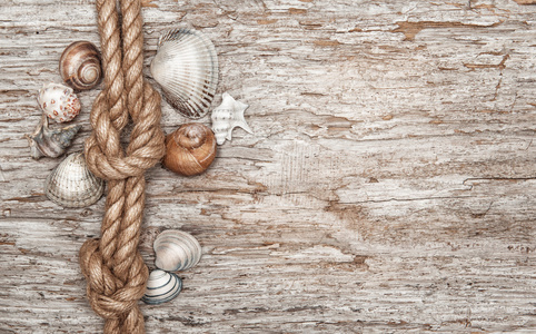 船舶的绳索 贝壳和老木
