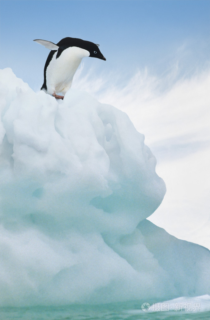 企鹅跳