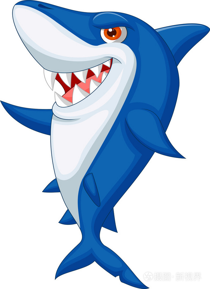 可爱的鲨鱼卡通