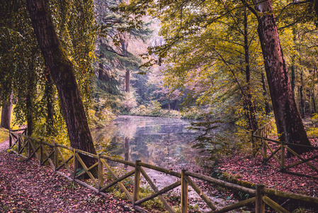 秋天的公园风景