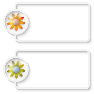 两个白色的鲜花抽象的文字框架