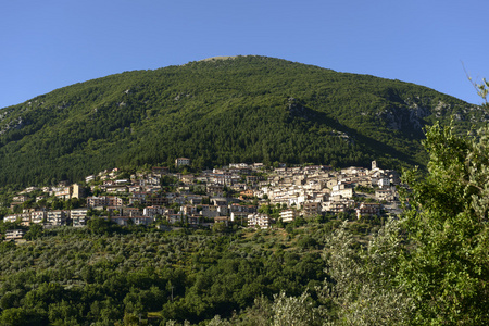 芝士 bustone 视图中，rieti 谷