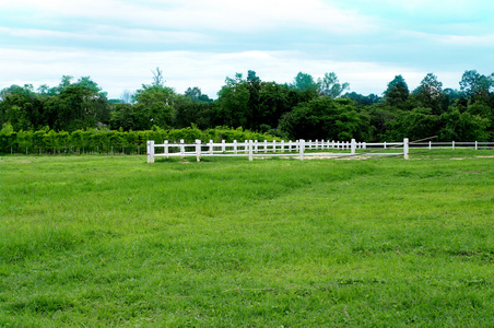 白色的栅栏农场土地绿草