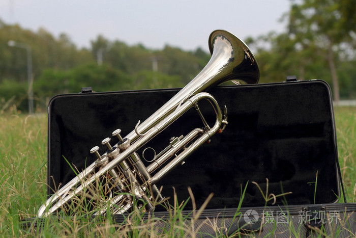 绿色的草地上小号照片-正版商用图片1dlr46-摄图新视界