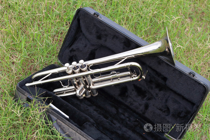 绿色的草地上小号照片-正版商用图片1dlsb7-摄图新视界