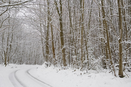 雪覆盖农村场景