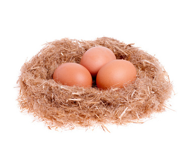 知更鸟蛋在巢中图片-知更鸟蛋在巢中素材-知更鸟