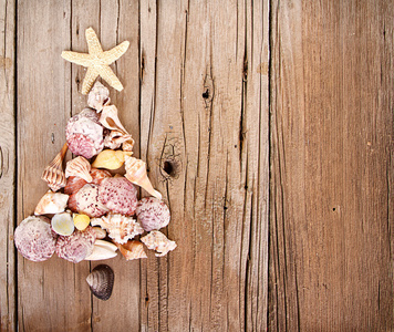 海贝壳形作为一棵圣诞树图片