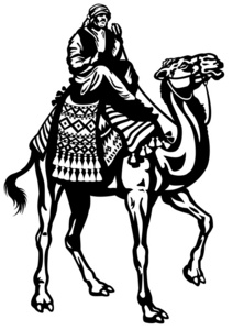 骆驼骑手黑色白色