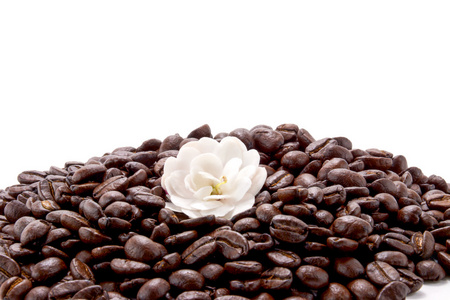 在白色背景下烘焙的咖啡豆