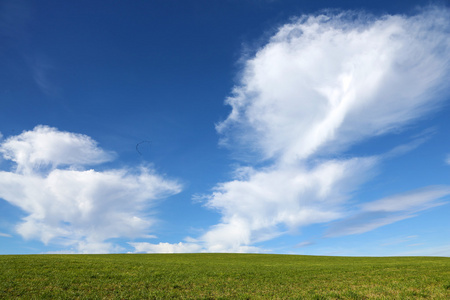 绿草和蓝蓝的天空背景