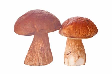 两个 cep 孤立