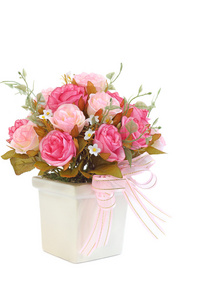 粉色的玫瑰，在一个白色的花瓶上白色孤立