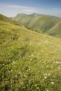 绿山