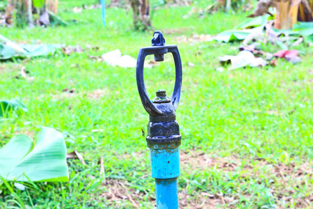 自动喷水灭火在花园里的农业水系统。
