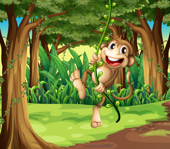 一只猴子玩藤本树木在森林深处