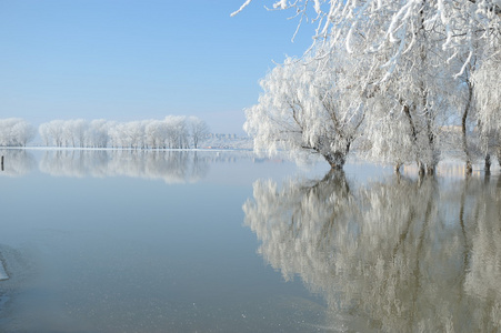 冬季景观与美丽的倒影在水中