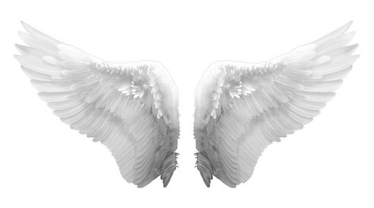 小天使翅膀