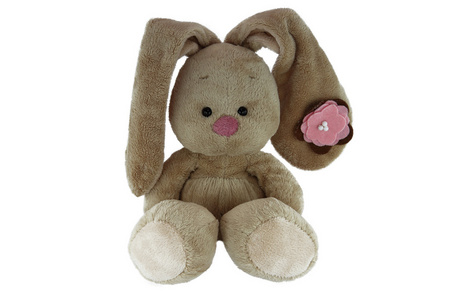 棕色泰迪兔子与玫瑰的鼻子和耳朵孤立在白色背景上的花