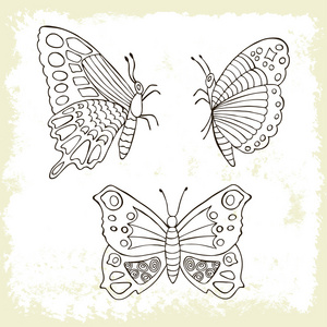 蝴蝶手绘制的组