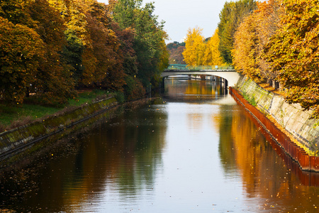 桥和 leavesl 在 landwehrkanal 上的秋天